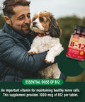 Deva Vegan Vitamins B-12 1000Mcg With Folic Acid & B-6, Supports Nervous System, Healthy Brain Function & Energy Production, Fast Dissolve, 90 Tablets