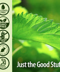 Nature'S Answer Alcohol- Nettle Leaf 2000mg 1oz Extract | Prostate Suppot | Concentrated Dark Green Nettle Leaf Herbal Supplement | Non-GMO Kosher Gluten- | Single Count
