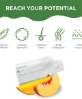 Healthycell Vegan Essentials - Liquid Multivitamin Supplement For Brain, Heart, Immunity, Energy, Skin And Hair Support - Vegan Multivitamin For Women & Men - Maximum Absorption - 30 Gel Packs