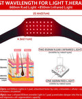 Jobyna Red L.Ight T.Herapy For Neck & Body, 1 Pack 850Nm In.Frared L.Ight & 660Nm R.Ed L.Ight T.Herapy At Home Office For Neck Elbow Leg, Auto Shut Off & 3 Heating Level