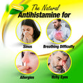 LABO Nutrition Perfect Quercetin SunActive IsoQ Bioflavonoids 25x More Bioavailable Than Quercetin for Immune Antioxidant Allergy and Cardiovascular Support Helps Improve AntiInflammatory 60s
