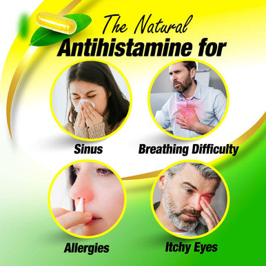 LABO Nutrition Perfect Quercetin SunActive IsoQ Bioflavonoids 25x More Bioavailable Than Quercetin for Immune Antioxidant Allergy and Cardiovascular Support Helps Improve AntiInflammatory 60s