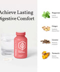 Terra Health Essentials Bloat Control | Fast-Acting No Bloat Relief w/Digestive Enzymes Probiotic Strains for Targeted Anti Bloat Support - Lactase Lipase Protease & Amylase for Digestive Health