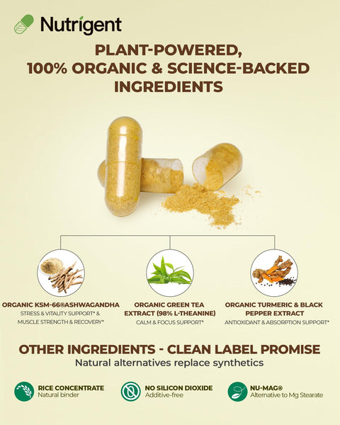 Nutrigent Usda Organic Ksm-66 Ashwagandha 600Mg With Organic L-Theanine Turmeric & Black Pepper Supports Calm Focus Relaxation & Overall Well-Being 60 Capsules