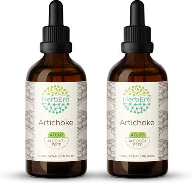 Artichoke B120 (2pcs) Alcohol-Free Herbal Extract Tincture, Concentrated Liquid Drops Natural Artichoke (Cynara scolymus) Dried Leaf (2x4 fl oz)