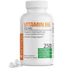 Vitamin B6 100 Mg Premium Vitamin B6 Supplement Promotes Protein Metabolism And Immune Function - 250 Tablets