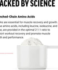 Force Factor BCAA Amino Acids Supplement 2:1:1 Delicious and Refreshing BCAA Powder to Support Muscle Recovery and Performance No Artificial Colors or Flavors Orange Mango 30 Servings