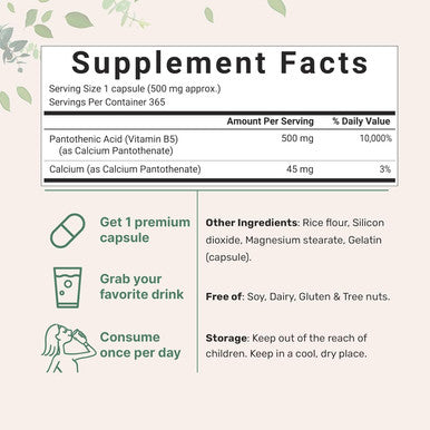 Micro Ingredients Pantothenic Acid Vitamin B5 Supplement Vitamin B5 500mg Per Count 365 Capsules (1 Year Supply) B-Complex Vitamin Support Energy Production and Nervous System Non-GMO