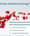 Super B-Complex Methylated Sustained Release Clean Label B Complex 180 Small Tablets