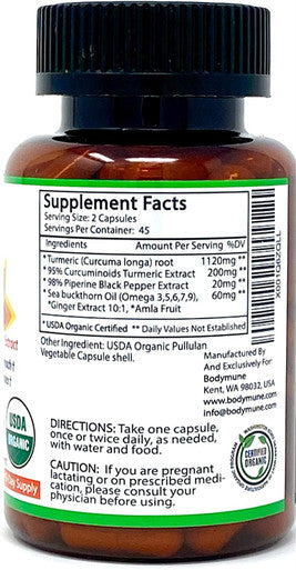 USDA Organic Turmeric Curcumin for Sensitive Stomach 45Day Supply Organic Turmeric Supplement with Black Pepper Sea Buckthorn Oil Ginger and Amla