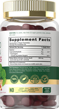 Carlyle Ginkgo Biloba 300Mg | 70 Gummies | 45:1 Leaf Extract | With Natural Peach Raspberry Flavor | Vegan, Non-Gmo, Gluten Free
