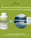 AMANDEAN Boswellia Serrata Extract. 500mg 120 Veggie Capsules. 65% Boswellic s with AKBA. Indian Frankincense Inflammation Supplement. 3rd Harvest