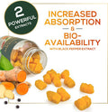 Nature'S Nutrition Turmeric Curcumin and Ginger Gummies with Black Pepper Extract High Absorption Potent 95% Curcuminoids Turmeric Curcumin Supplement Nature's Tumeric Curcuma Gummy Pills Joint Support - 120 Gummies
