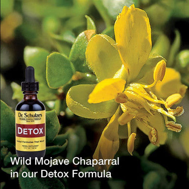 Dr. Schulzes 5Day Kidney Detox Detoxes Cleanses Bladder Herbal Dietary Supplement Weight Loss Aid Dissolves Kidney Bladder Deposits Support Urinary Tract Health