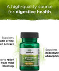 Swanson L. Plantarum - Digestive Supplement Promoting Gastrointestinal Balance & Bowel Regularity - Natural Formula to Help Reduce Bloating - (30 Veggie Capsules) 2 Pack