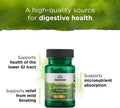 Swanson L. Plantarum - Digestive Supplement Promoting Gastrointestinal Balance & Bowel Regularity - Natural Formula to Help Reduce Bloating - (30 Veggie Capsules) 2 Pack