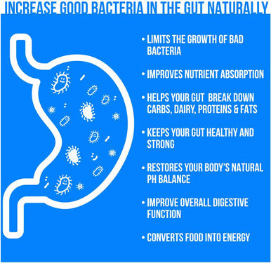 GoBiotix 100 Billion Probiotics Prebiotics Digestive Enzymes Blend High Potency with 100 Billion CFU Enhanced with Organic Fruit Organic Greens Blend Vegan NonGMO USA Made 30 Caps