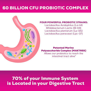 Probiotics for Digestive Support - 60 Billion CFU including L-Acidophilus, Plantarum, Paracasei & Prebiotics - 5 Strains for Gut Health - Shelf Stable & Non-GMO for Women & Men - 120 Capsules