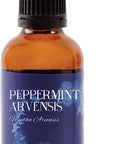 Mystic Moments | Peppermint Arvensis Essential Oil - 50ml - 100% Pure