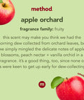 Method Stainless Steel Cleaner + Polish Apple Orchard Cleans Fingerprints and Smudges 14 FL Oz (Pack of 1)