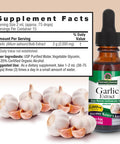 Nature'S Answer Garlic 1oz Extract | Promotes Overall Well-Being | Made with Low Organic Alcohol | Gluten- Non-GMO & Kosher | Single Count