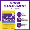 InnovixLabs Mood Probiotic 60 Capsules Lactobacillus helveticus Rosell 52ND Bifidobacterium longum Rosell 175 1st Probiotic Formula Clinically Studied for Mood Support Probiotics for Men Women