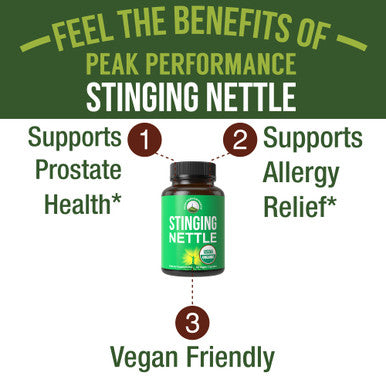 Usda Organic Stinging Nettle Vegan Capsules Made With Stinging Nettle Leaf Powder For Prostate, Hair Growth, Allergy. Better Than