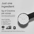 Sports Research Creatine Monohydrate Gain Lean Muscle Improve Performance And Strength And Support Workout Recovery 5 G Micronized Creatine 10.58 Oz