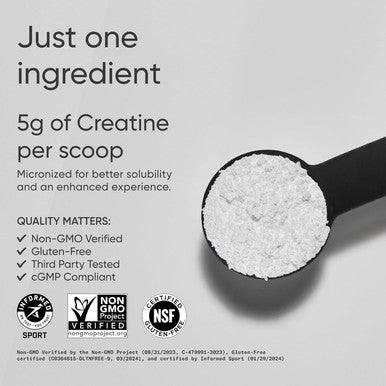 Sports Research Creatine Monohydrate Gain Lean Muscle Improve Performance And Strength And Support Workout Recovery 5 G Micronized Creatine 10.58 Oz