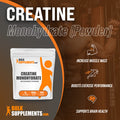 Bulksupplements.Com Creatine Monohydrate Powder (Micronized), 500G With Beta Alanine Powder, 500G - Unflavored, Gluten Free, No Fillers Bundle