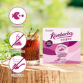 Teazen Kombucha Mulled Wine Flavor Variety Pack with Classic Eco Bottle (Kombucha Powder 40 Sticks Eco Bottle 1EA x 11.8oz)