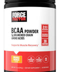 Force Factor BCAA Amino Acids Supplement 2:1:1 Delicious and Refreshing BCAA Powder to Support Muscle Recovery and Performance No Artificial Colors or Flavors Orange Mango 30 Servings