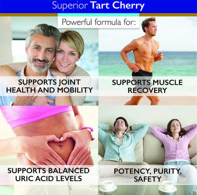 Superior Labs Organic Montmorency Tart Cherry 1000mg Extract 60 Veg Caps 2 Proanthocyanidins Celery Seed Black Pepper Extracts for Maximum Absorption Supports Balanced Uric Acid Levels