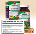 Nature'S Answer Burdock Root 500mg 90-Capsules | Natural Detoxifier | Promotes Blood Circulation | Joint & Skin Support | Liver & Kidney Function | Gluten- Non-GMO Vegan | Single Count