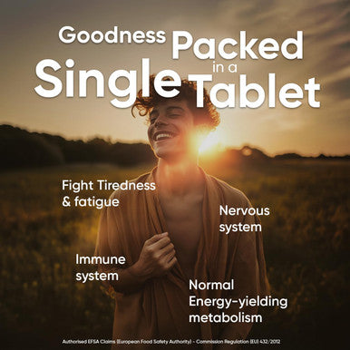 Weightworld Vitamin B12 High Strength 1000mcg - 1+ Year Supply - 400 Chewable & Vegan Vitamin B12 Tablets - Sugar- Methylcobalamin - Vit B12 Supplement for Tiredness & Fatigue - Lemon Flavour - Made in The UK