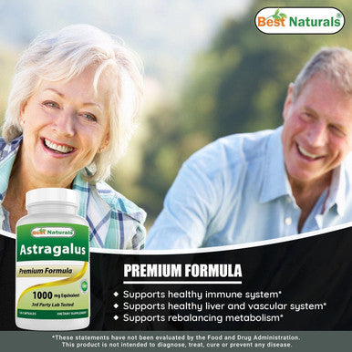 Best Naturals Astragalus Extract 1000 Mg Capsules (120 Count (Pack of 3))