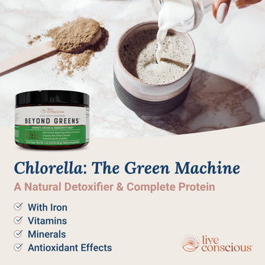 Beyond Greens Super Greens Powder Superfood - Delicious Greens Powder for Bloating - Matcha Greens Blend Superfood Powder w/ Chlorella, Echinacea, & Probiotics for Immune Support & Energy by LiveWell