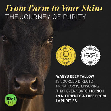 Light Grass Fed Beef Tallow Moisturizer Cream 5Oz Shea Butter, Vitamin E Beef Tallow For Face & Body Tallow Face Moisturizer & Beef Tallow Face Cream Beef Tallow Lotion & Beef Tallow For Skin