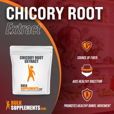 BulkSupplements Chicory Extract Powder - Fiber Supplement - Chicory Root Fiber Powder - Chicory Root Powder - Gut Health Powder - Prebiotic Fiber Powder (100 Grams - 3.5 oz)