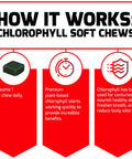 Force Factor Chlorophyll Soft Chews Antioxidants Supplement to Reduce Body Odor, Promote Fresh Breath, and Nourish Healthy Skin, Non-GMO, Gluten-Free, and Vegan, Fresh Mint Flavor, 60 Soft Chews