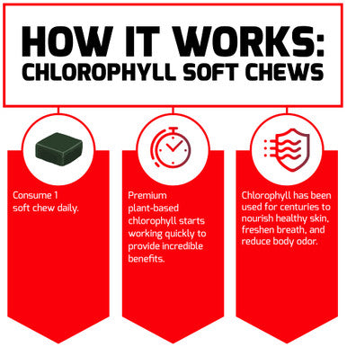 Force Factor Chlorophyll Soft Chews Antioxidants Supplement to Reduce Body Odor, Promote Fresh Breath, and Nourish Healthy Skin, Non-GMO, Gluten-Free, and Vegan, Fresh Mint Flavor, 60 Soft Chews