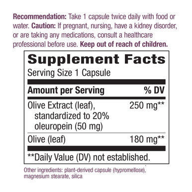 Nature's Way Premium Extract Standardized Olive Leaf 20% Oleuropein, 60 Count