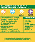Nature's Way, Alive! Kids, Complete Multivitamin, Cherry, Orange & Grape , 60 Gummies