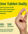 MegaFood Men'S 55+ One Daily - Multivitamin For Men With Vitamin B12 Vitamin C Vitamin D & Zinc - Optimal Aging & Immune Support Supplement - Vegetarian - Made Without 9 Food Allergens - 120 Tabs