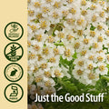 Nature'S Answer Yarrow Flowers Dried Herb with Organic Alcohol 1-Fluid Ounce | Promotes Reduction of Inflammation | Digestive Support