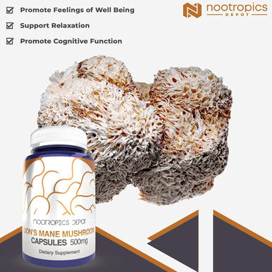 Lions Mane Mushroom Capsules 81 Whole Fruiting Body Dual Extract 500mg 60 Count Hericium erinaceus
