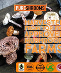 PureShrooms Mushroom Coffee - Focus & Create with Chaga & Lion's Mane. Memory, Focus, Immune Booster. Keto Friendly (50 Servings, 100 Grams)