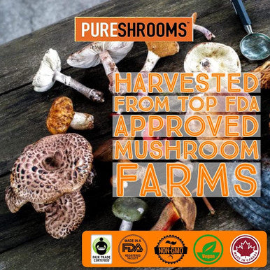 PureShrooms Mushroom Coffee - Focus & Create with Chaga & Lion's Mane. Memory, Focus, Immune Booster. Keto Friendly (50 Servings, 100 Grams)
