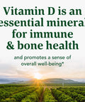 MegaFood Vitamin D3 2000 Iu (50 Mcg) - Vitamin D Supplements With Real Food Immune Support Supports Bones Teeth & Muscles Vegetarian Certified Non-Gmo Kosher 90 Tablets 90 Servings