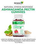 Renew Actives Ashwagandha Gummies For Memory Enhancement & Energy Boost - Used As Rejuvenative Tonic For Health & Wellness- 60 Gummies